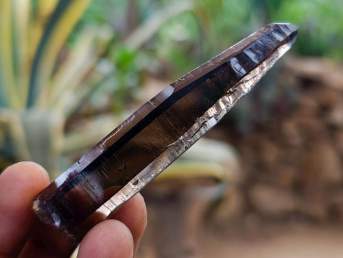 Natural Smokey Quartz Crystals x 35 From Mulanje, Malawi - Toprock Gemstones and Minerals 