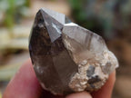 Natural Smokey Quartz Crystals x 35 From Mulanje, Malawi - Toprock Gemstones and Minerals 