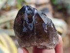 Natural Smokey Quartz Crystals x 35 From Mulanje, Malawi - Toprock Gemstones and Minerals 