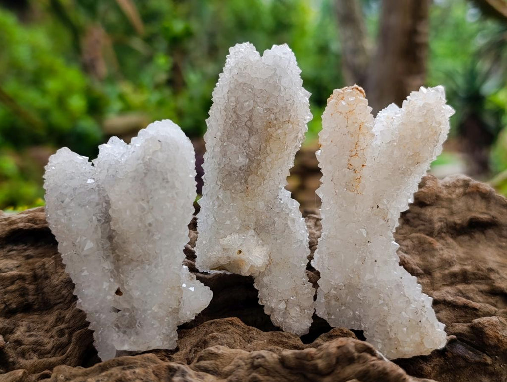 Natural Drusy Snow Finger Quartz Coated Crystals x 35 From Albert's Mountain, Lesotho - Toprock Gemstones and Minerals 