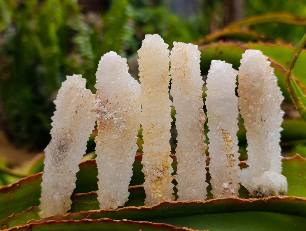 Natural Drusy Snow Finger Quartz Coated Crystals x 35 From Albert's Mountain, Lesotho - Toprock Gemstones and Minerals 