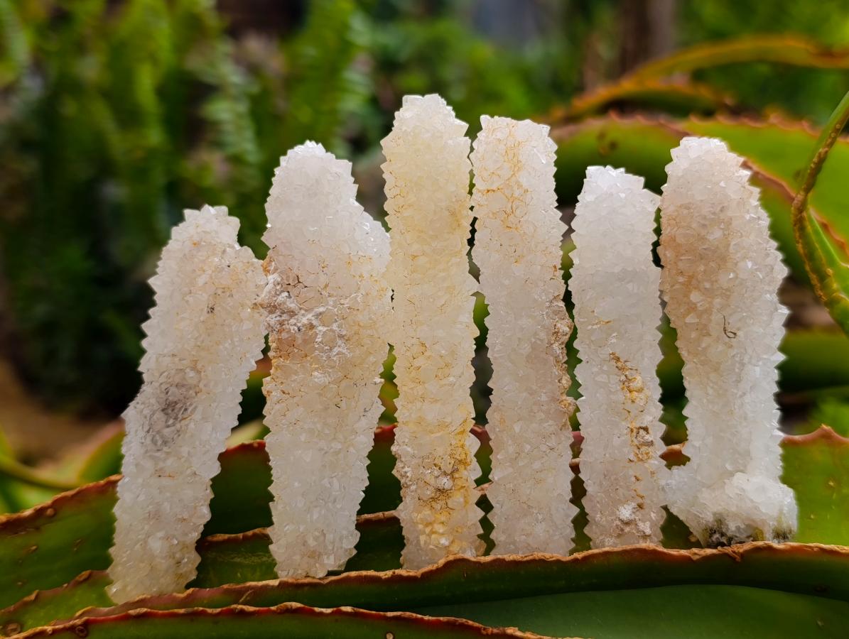 Natural Drusy Snow Finger Quartz Coated Crystals x 35 From Albert's Mountain, Lesotho - Toprock Gemstones and Minerals 