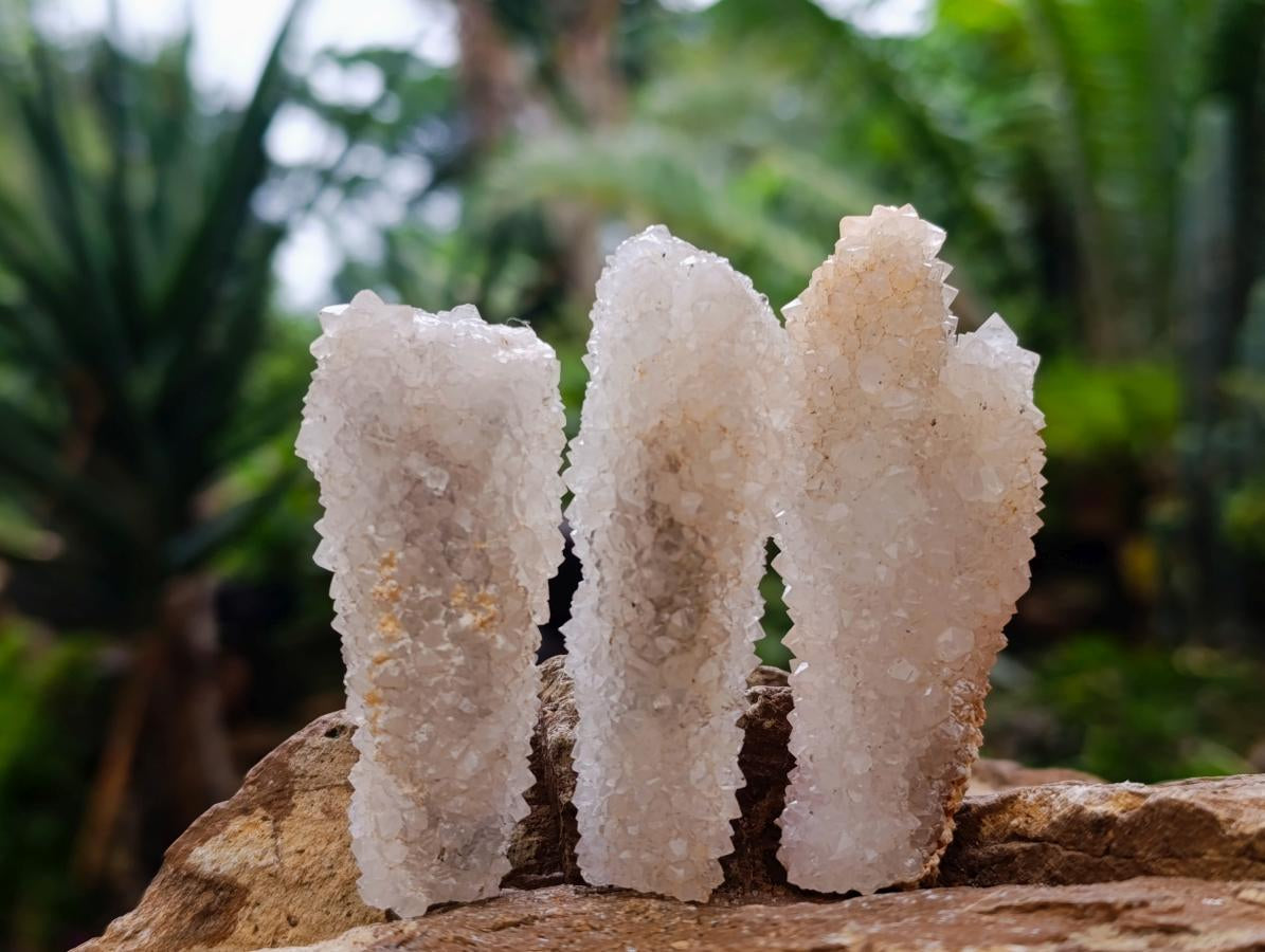 Natural Drusy Snow Finger Quartz Coated Crystals x 35 From Albert's Mountain, Lesotho - Toprock Gemstones and Minerals 