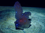 Natural Drusy Snow Finger Quartz Coated Crystals x 35 From Albert's Mountain, Lesotho - Toprock Gemstones and Minerals 