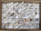 Natural Drusy Snow Finger Quartz Coated Crystals x 35 From Albert's Mountain, Lesotho - Toprock Gemstones and Minerals 