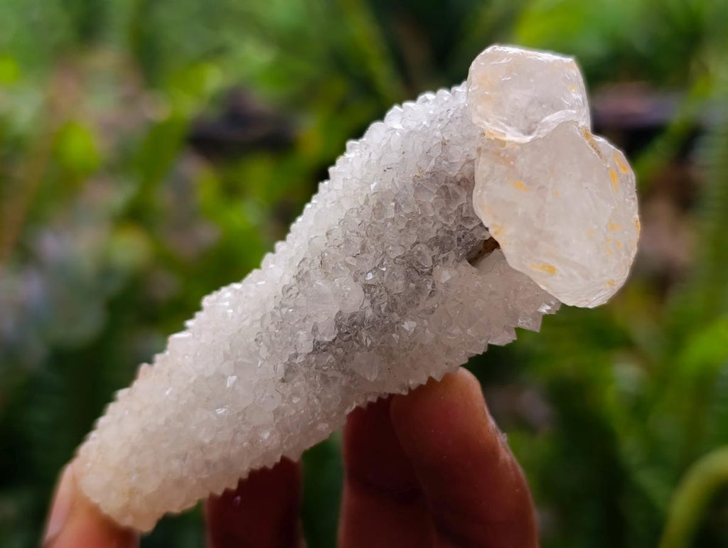 Natural Drusy Snow Finger Quartz Coated Crystals x 35 From Albert's Mountain, Lesotho - Toprock Gemstones and Minerals 