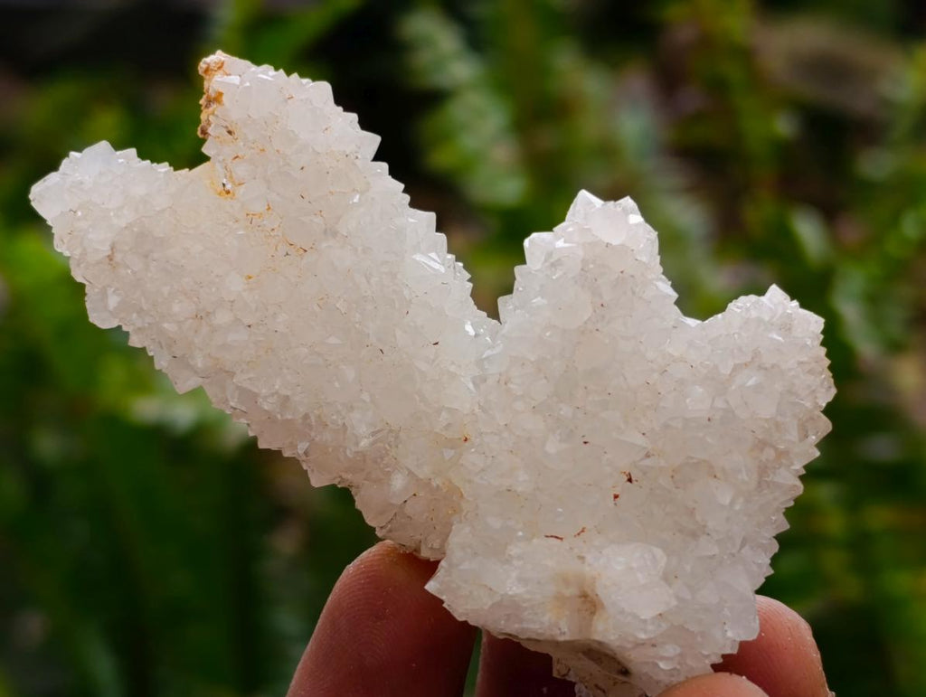 Natural Drusy Snow Finger Quartz Coated Crystals x 35 From Albert's Mountain, Lesotho - Toprock Gemstones and Minerals 