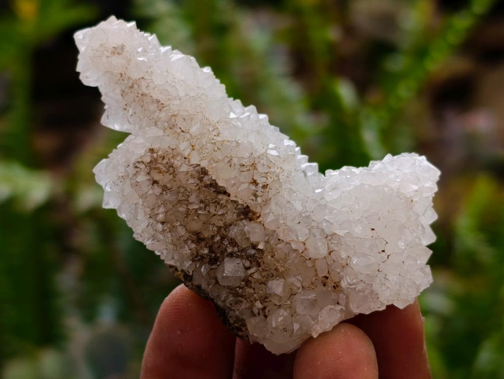 Natural Drusy Snow Finger Quartz Coated Crystals x 35 From Albert's Mountain, Lesotho - Toprock Gemstones and Minerals 