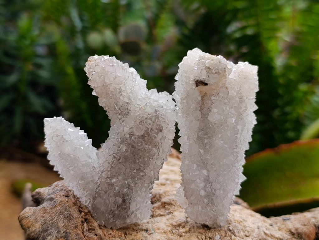 Natural Drusy Snow Finger Quartz Coated Crystals x 35 From Albert's Mountain, Lesotho - Toprock Gemstones and Minerals 