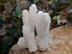 Natural Drusy Snow Finger Quartz Coated Crystals x 35 From Albert's Mountain, Lesotho - Toprock Gemstones and Minerals 