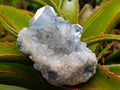 Natural Blue Celestite Specimens x 2 From Sakoany, Madagascar - Toprock Gemstones and Minerals 