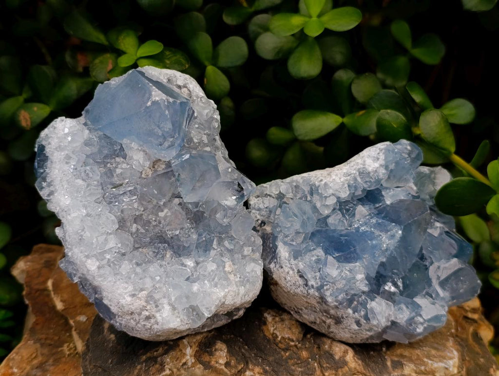 Natural Blue Celestite Specimens x 2 From Sakoany, Madagascar - Toprock Gemstones and Minerals 