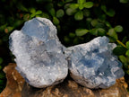 Natural Blue Celestite Specimens x 2 From Sakoany, Madagascar - Toprock Gemstones and Minerals 
