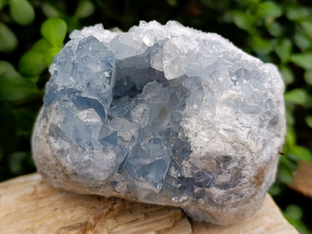 Natural Blue Celestite Specimens x 2 From Sakoany, Madagascar - Toprock Gemstones and Minerals 