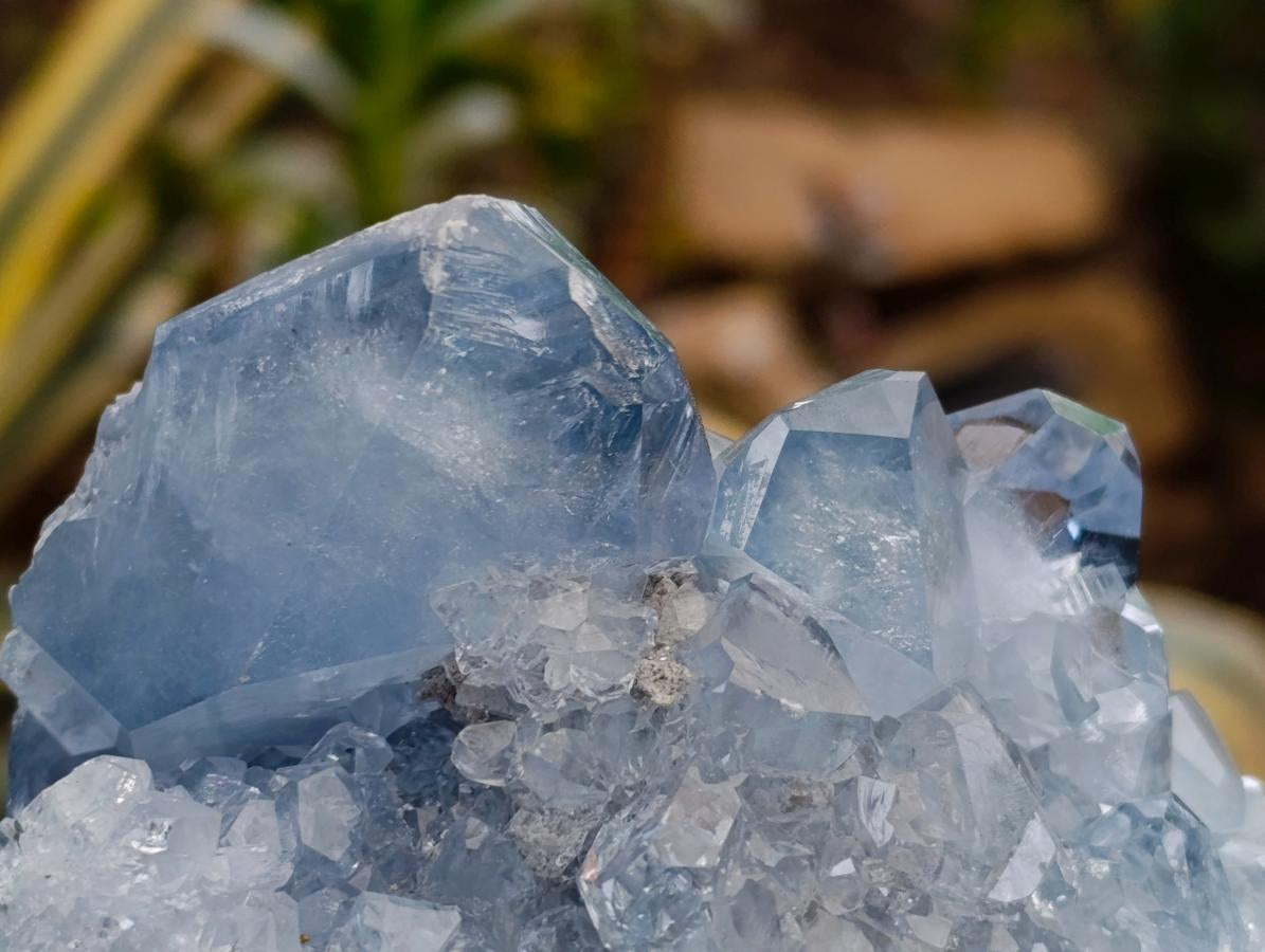 Natural Blue Celestite Specimens x 2 From Sakoany, Madagascar - Toprock Gemstones and Minerals 