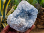 Natural Blue Celestite Specimens x 2 From Sakoany, Madagascar - Toprock Gemstones and Minerals 