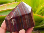 Polished Banded Tiger Iron Display Crystals x 4 From South Africa - Toprock Gemstones and Minerals 