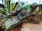 Large Hand Made Leopard Stone Dragon Carving x 1 From Nyanga, Zimbabwe - Toprock Gemstones and Minerals 