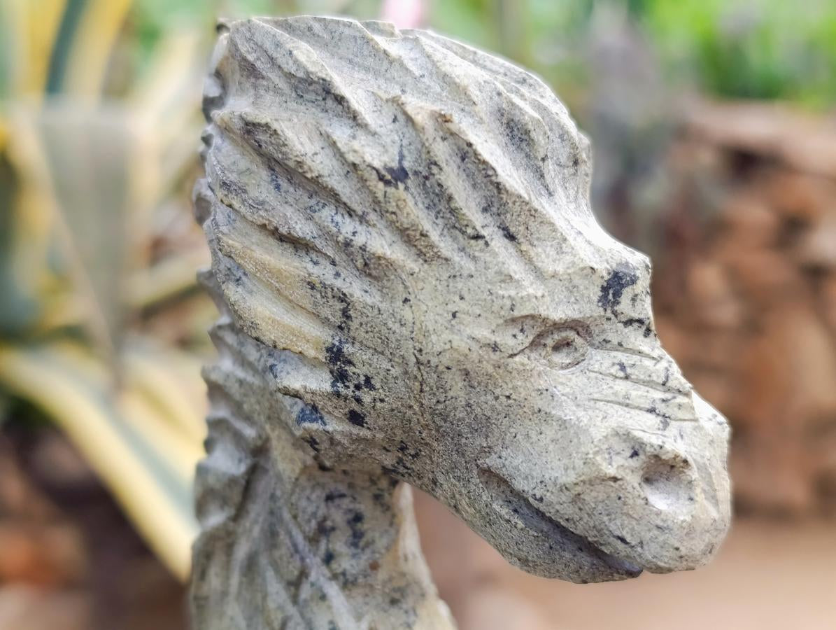 Large Hand Made Leopard Stone Dragon Carving x 1 From Nyanga, Zimbabwe - Toprock Gemstones and Minerals 