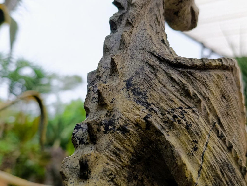 Large Hand Made Leopard Stone Dragon Carving x 1 From Nyanga, Zimbabwe - Toprock Gemstones and Minerals 