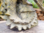 Large Hand Made Leopard Stone Dragon Carving x 1 From Nyanga, Zimbabwe - Toprock Gemstones and Minerals 