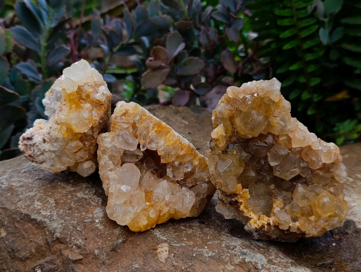 Natural Golden Limonite Quartz Clusters x 12 From Solwezi Zambia - Toprock Gemstones and Minerals 