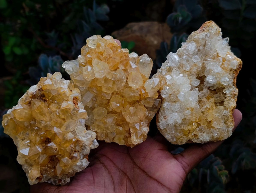 Natural Golden Limonite Quartz Clusters x 12 From Solwezi Zambia - Toprock Gemstones and Minerals 