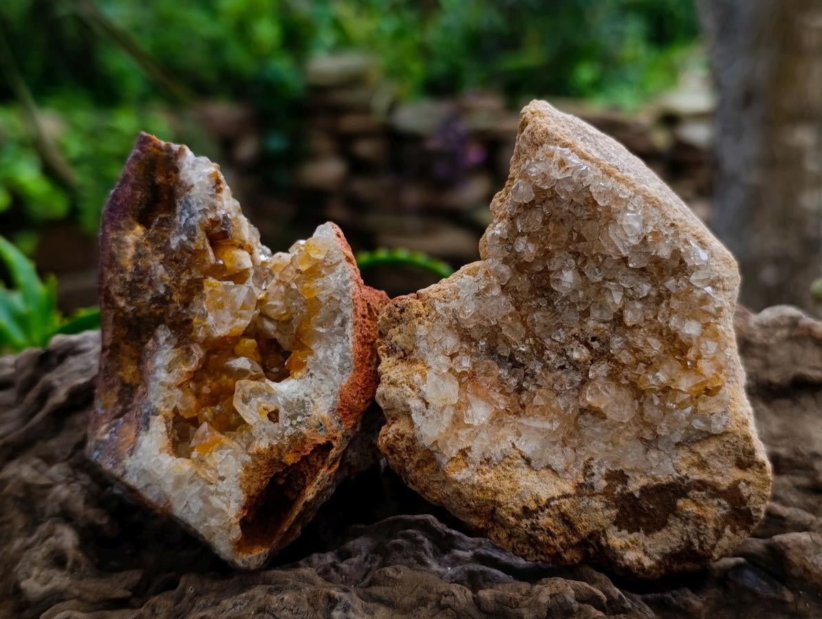 Natural Golden Limonite Quartz Clusters x 12 From Solwezi Zambia - Toprock Gemstones and Minerals 