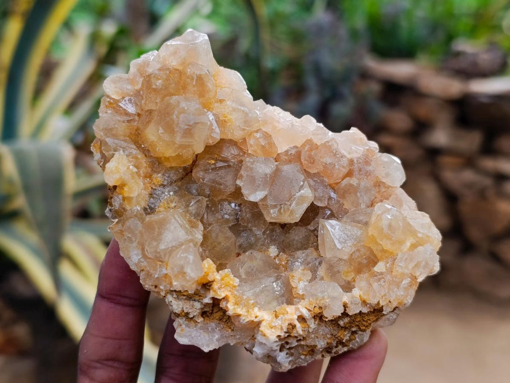 Natural Golden Limonite Quartz Clusters x 12 From Solwezi Zambia - Toprock Gemstones and Minerals 