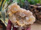 Natural Golden Limonite Quartz Clusters x 12 From Solwezi Zambia - Toprock Gemstones and Minerals 