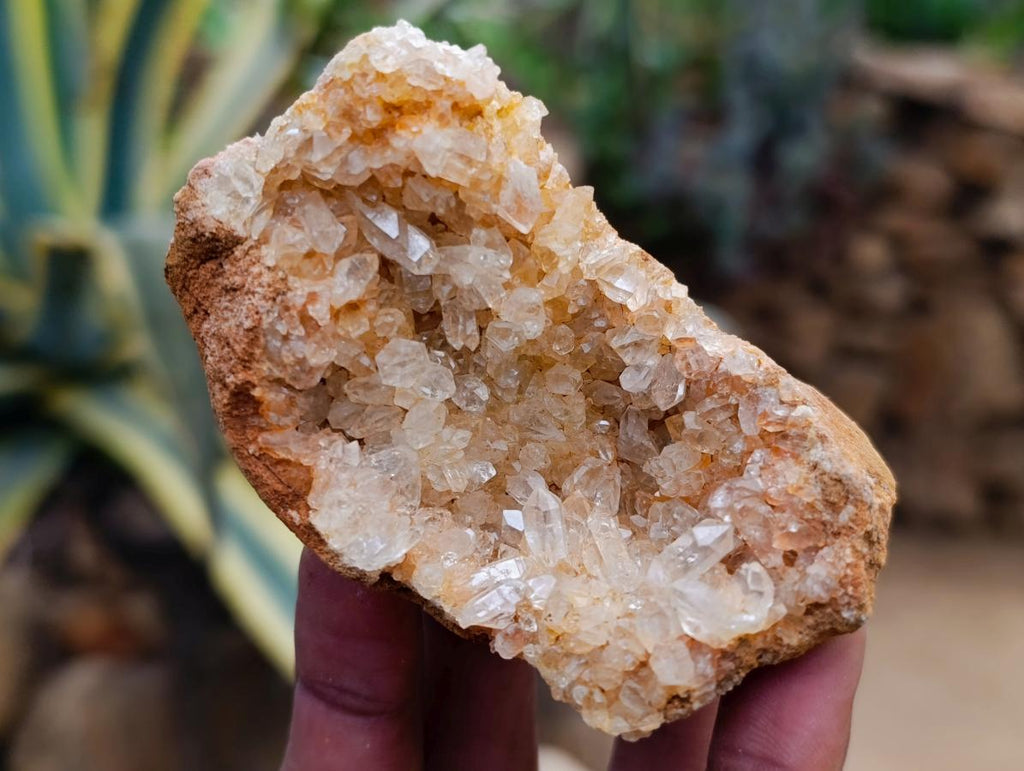 Natural Golden Limonite Quartz Clusters x 12 From Solwezi Zambia - Toprock Gemstones and Minerals 