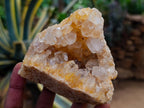 Natural Golden Limonite Quartz Clusters x 12 From Solwezi Zambia - Toprock Gemstones and Minerals 