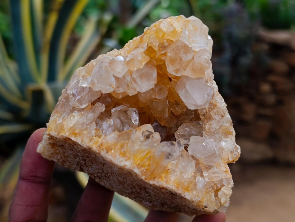 Natural Golden Limonite Quartz Clusters x 12 From Solwezi Zambia - Toprock Gemstones and Minerals 