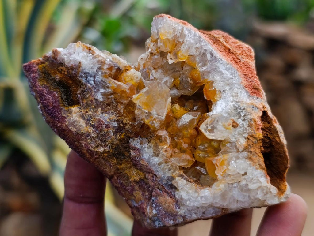 Natural Golden Limonite Quartz Clusters x 12 From Solwezi Zambia - Toprock Gemstones and Minerals 