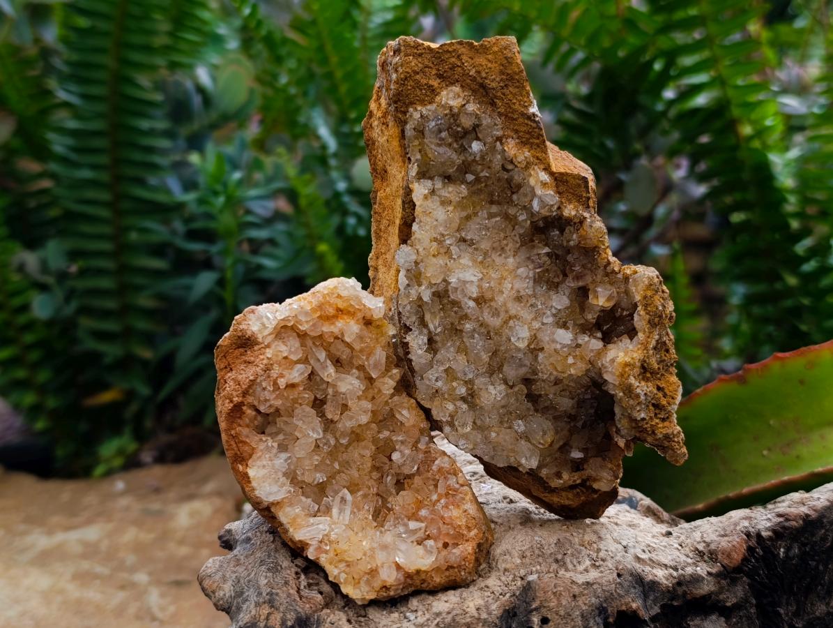 Natural Golden Limonite Quartz Clusters x 12 From Solwezi Zambia - Toprock Gemstones and Minerals 