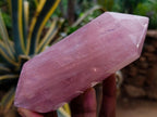 Polished Double Terminated Gemmy Rose Quartz Crystals x 6 From Madagascar - Toprock Gemstones and Minerals 