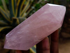 Polished Double Terminated Gemmy Rose Quartz Crystals x 6 From Madagascar - Toprock Gemstones and Minerals 