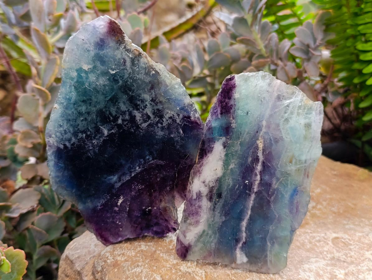 Polished Watermelon Fluorite Slices x 6 From Uis, Namibia - Toprock Gemstones and Minerals 