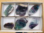 Polished Watermelon Fluorite Slices x 6 From Uis, Namibia - Toprock Gemstones and Minerals 