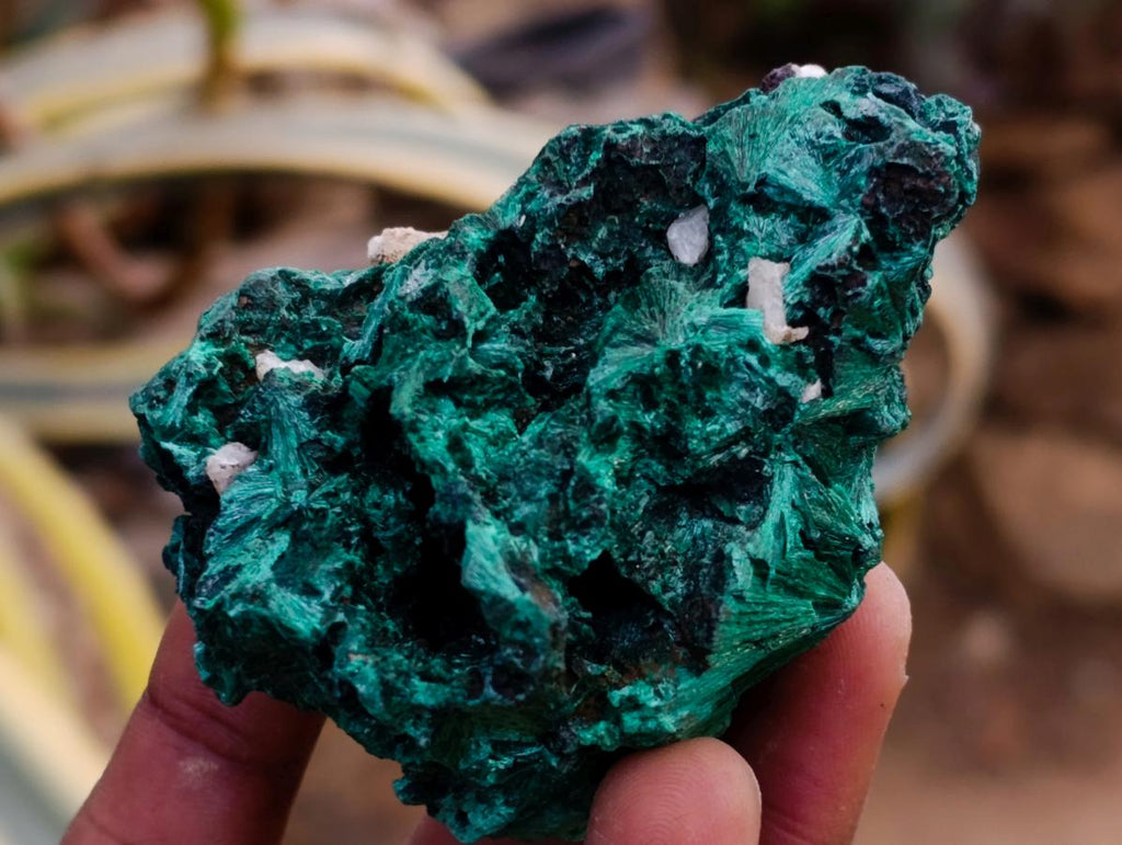 Natural Silky Malachite Specimens x 6 From Kasompe, Congo - Toprock Gemstones and Minerals 