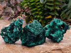Natural Silky Malachite Specimens x 6 From Kasompe, Congo - Toprock Gemstones and Minerals 