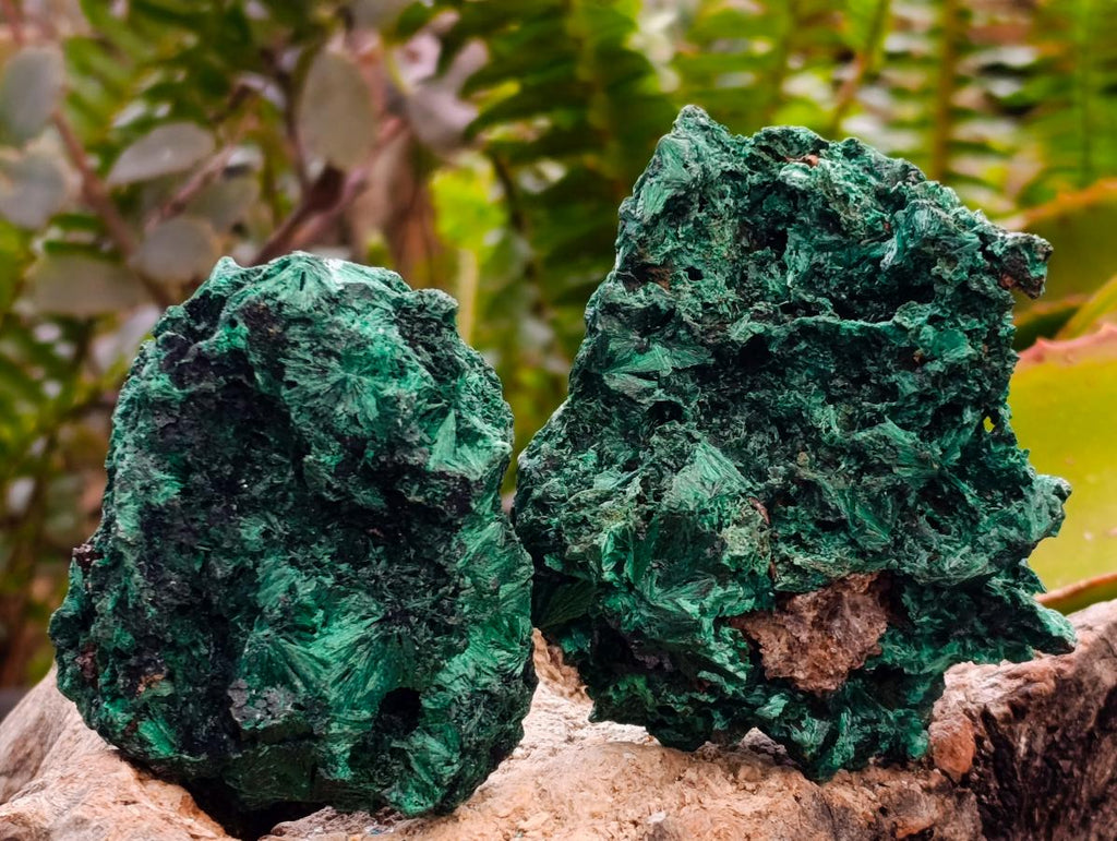 Natural Silky Malachite Specimens x 6 From Kasompe, Congo - Toprock Gemstones and Minerals 