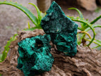 Natural Silky Malachite Specimens x 6 From Kasompe, Congo - Toprock Gemstones and Minerals 