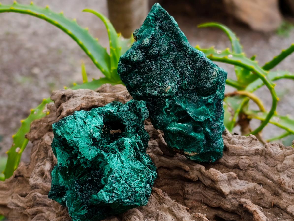 Natural Silky Malachite Specimens x 6 From Kasompe, Congo - Toprock Gemstones and Minerals 