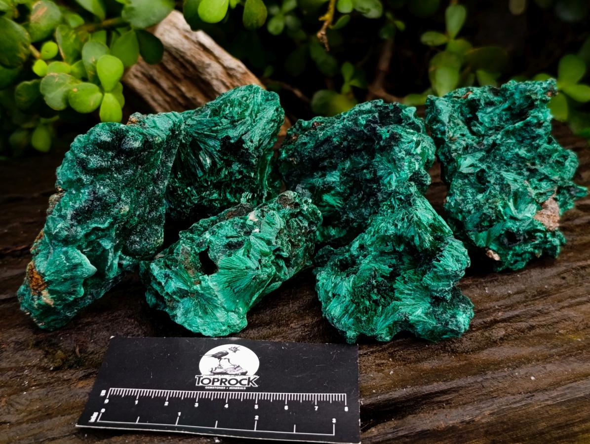 Natural Silky Malachite Specimens x 6 From Kasompe, Congo - Toprock Gemstones and Minerals 