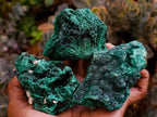 Natural Silky Malachite Specimens x 6 From Kasompe, Congo - Toprock Gemstones and Minerals 