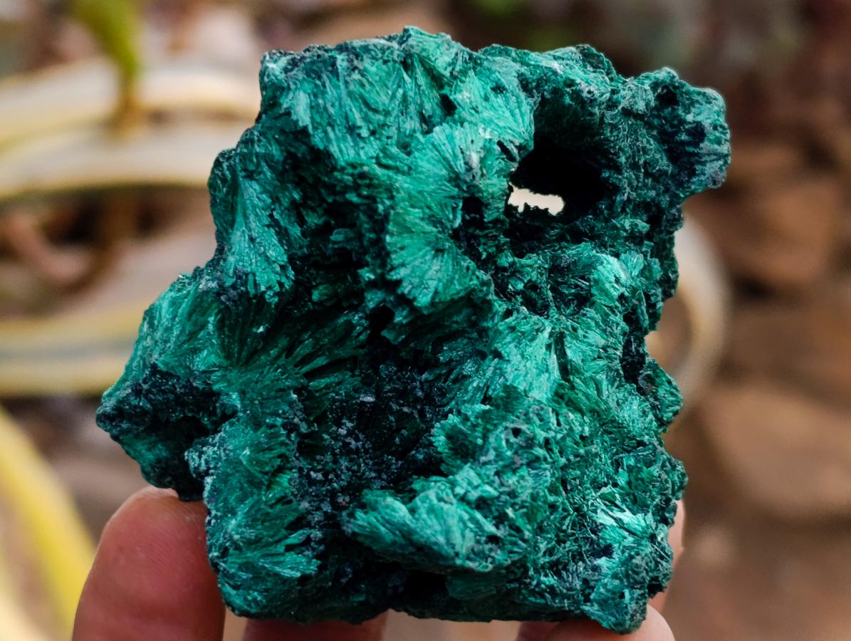Natural Silky Malachite Specimens x 6 From Kasompe, Congo - Toprock Gemstones and Minerals 