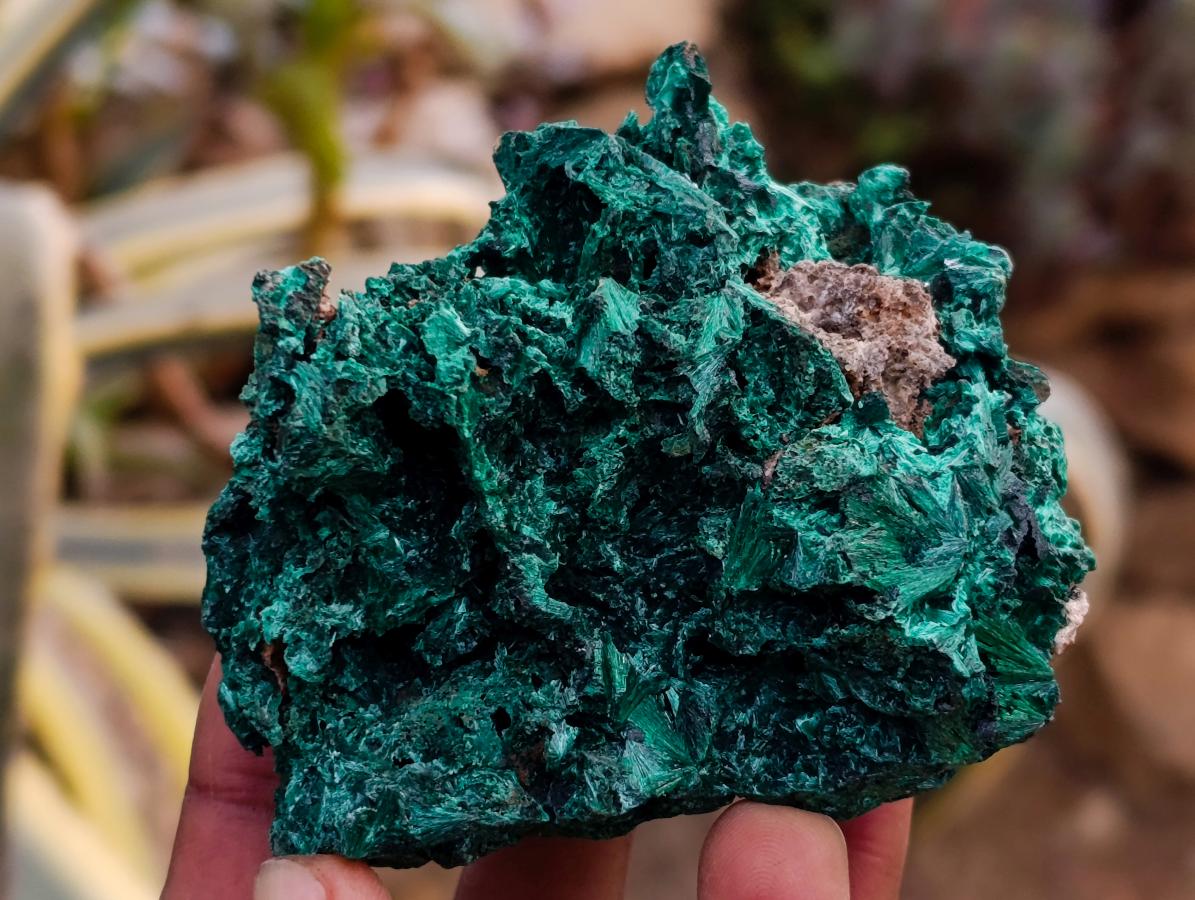 Natural Silky Malachite Specimens x 6 From Kasompe, Congo - Toprock Gemstones and Minerals 