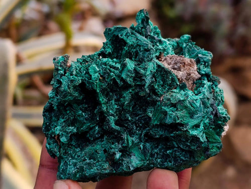 Natural Silky Malachite Specimens x 6 From Kasompe, Congo - Toprock Gemstones and Minerals 