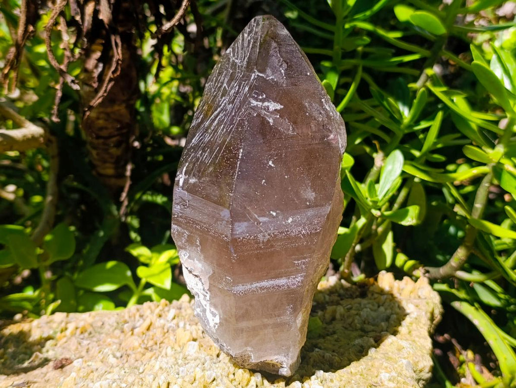 Natural Large Smokey Quartz Crystals x 2 From Mulanje, Malawi - Toprock Gemstones and Minerals 